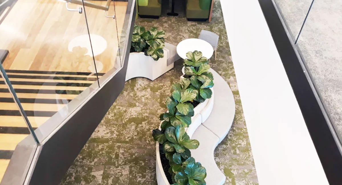 Ambius Rentokil Het voordeel van kantoorplanten | Ambius België